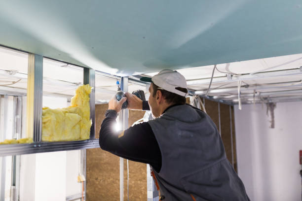 Best Cellulose Insulation in North Pembroke, MA